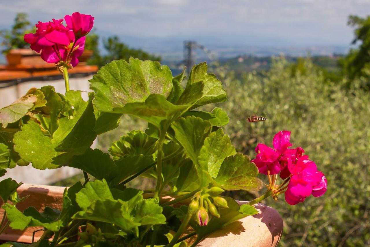 Poggio Della Roverella Country House Morlupo Extérieur photo